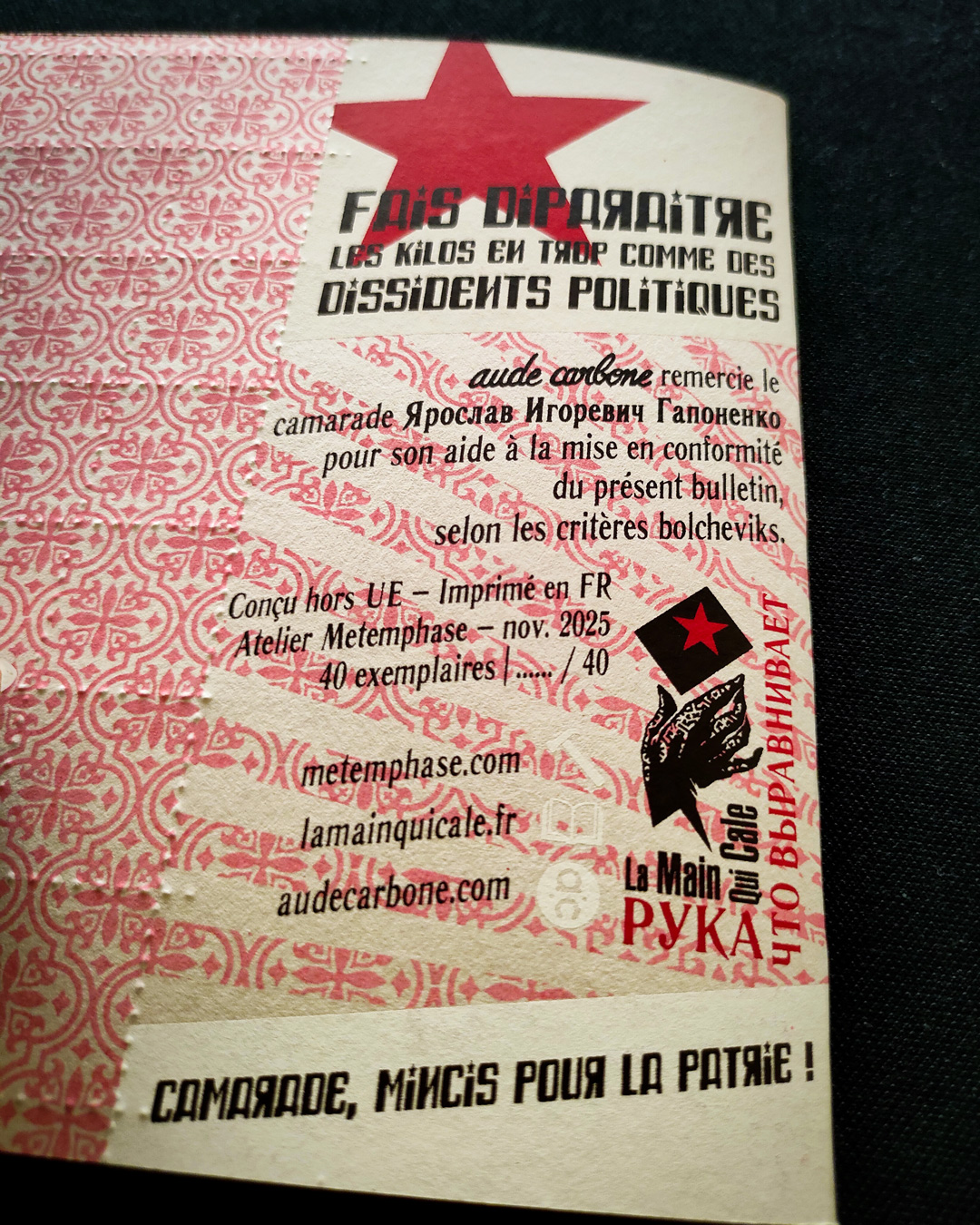 RÉGIME SOVIÉTIQUE - “Советский Режим” - carnet de rationnement | Aude Carbone & Ярослав Игоревич Гапоненко – Image 11