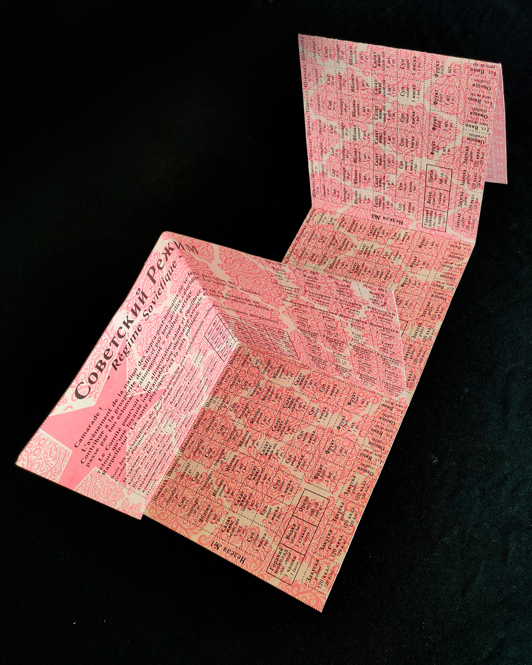 RÉGIME SOVIÉTIQUE - “Советский Режим” - carnet de rationnement | Aude Carbone & Ярослав Игоревич Гапоненко – Image 5