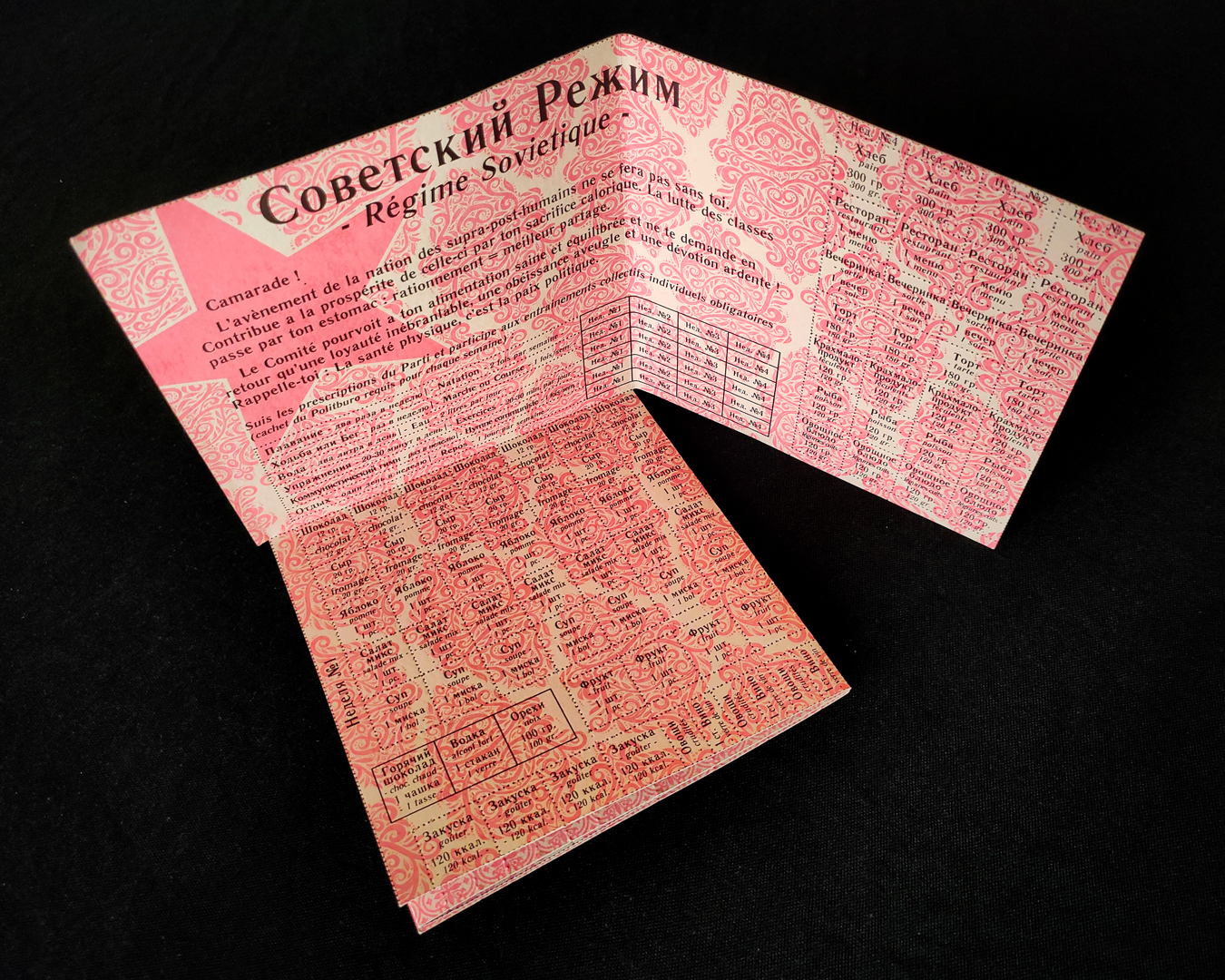 RÉGIME SOVIÉTIQUE - “Советский Режим” - carnet de rationnement | Aude Carbone & Ярослав Игоревич Гапоненко – Image 4