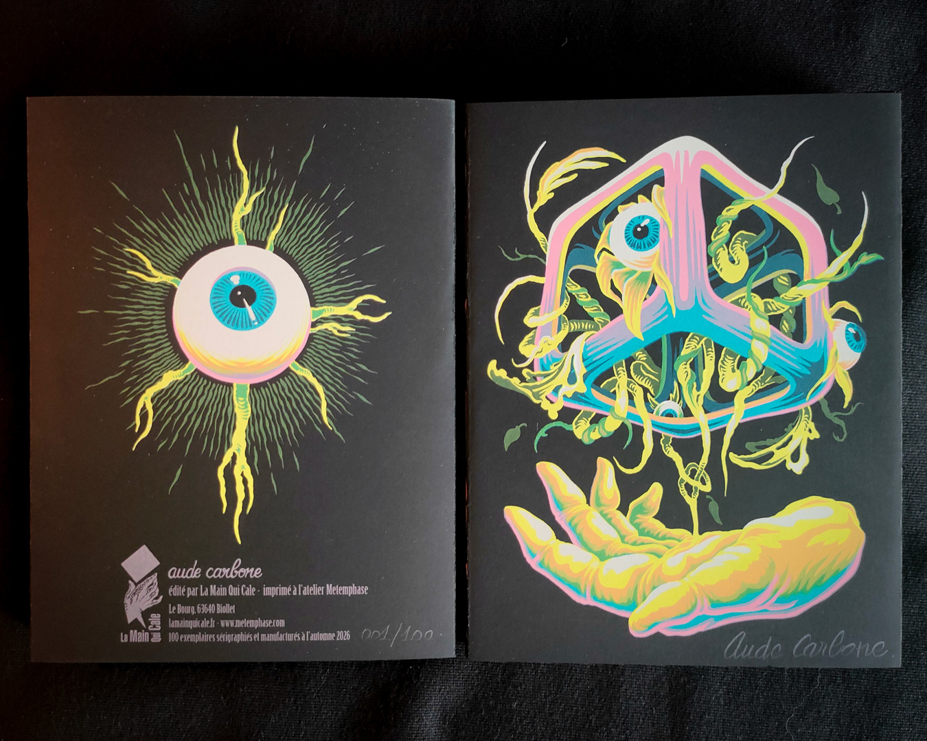 SUTURE - leporello | Aude carbone – Image 2
