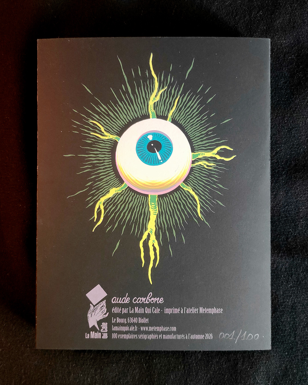 SUTURE - leporello | Aude carbone – Image 4