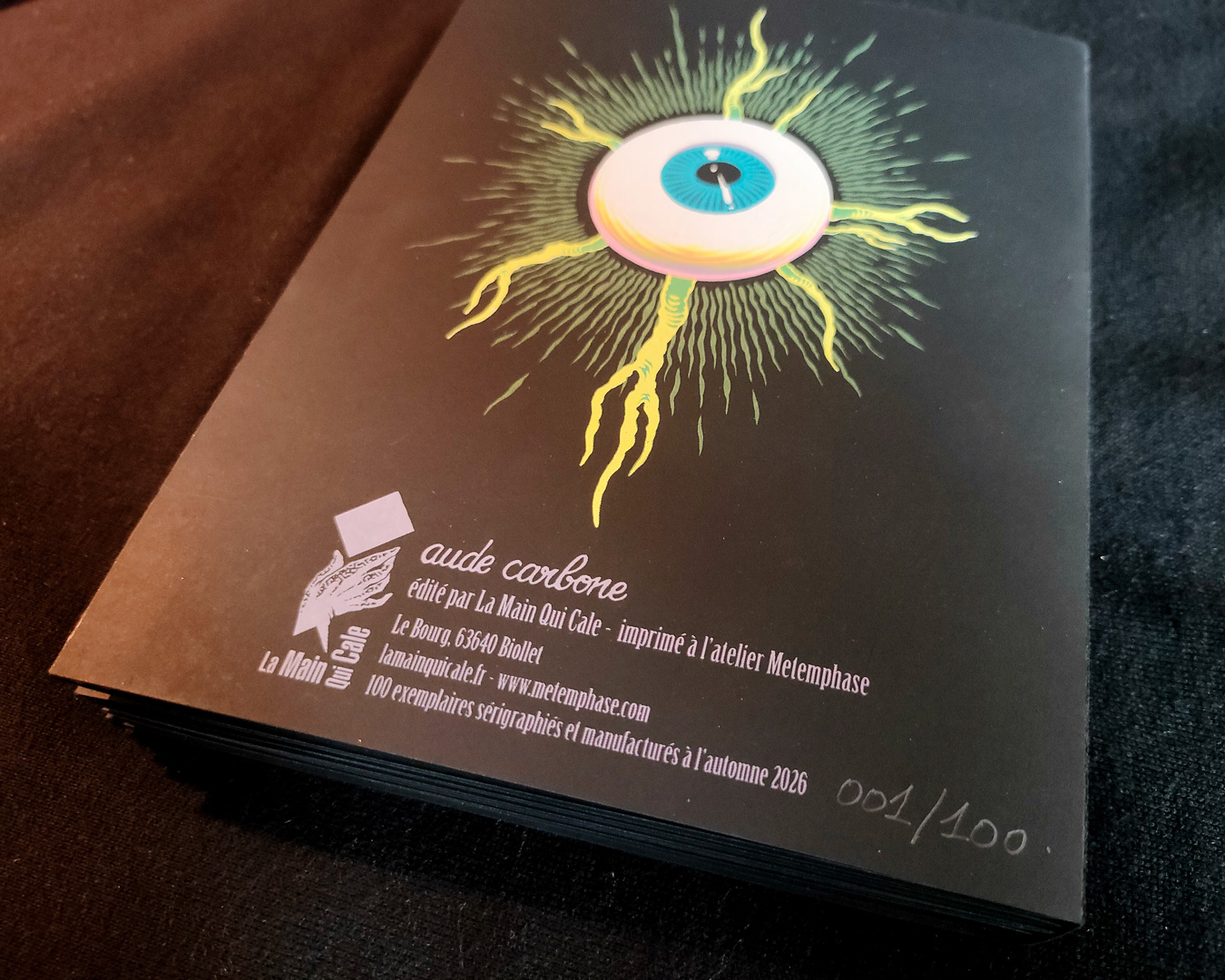 SUTURE - leporello | Aude carbone – Image 12